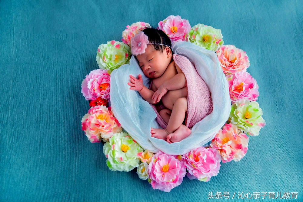 孕期知识育儿经验分享,孕早期怎么保证宝宝的健康