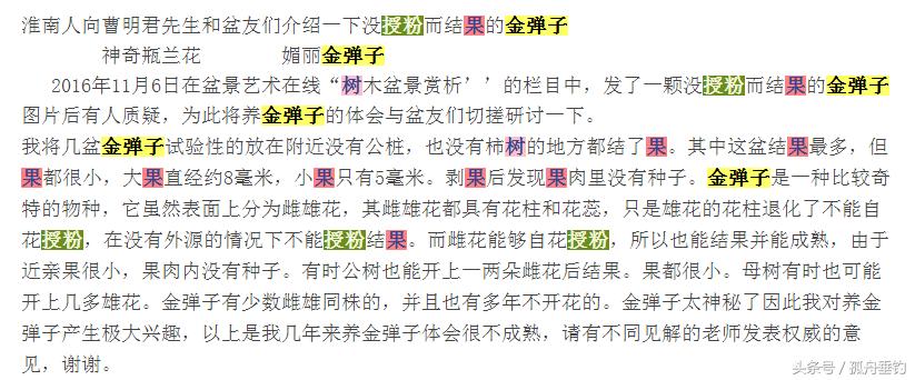 金弹子盆景需要留公桩吗,金弹子下山树桩可以存放好久