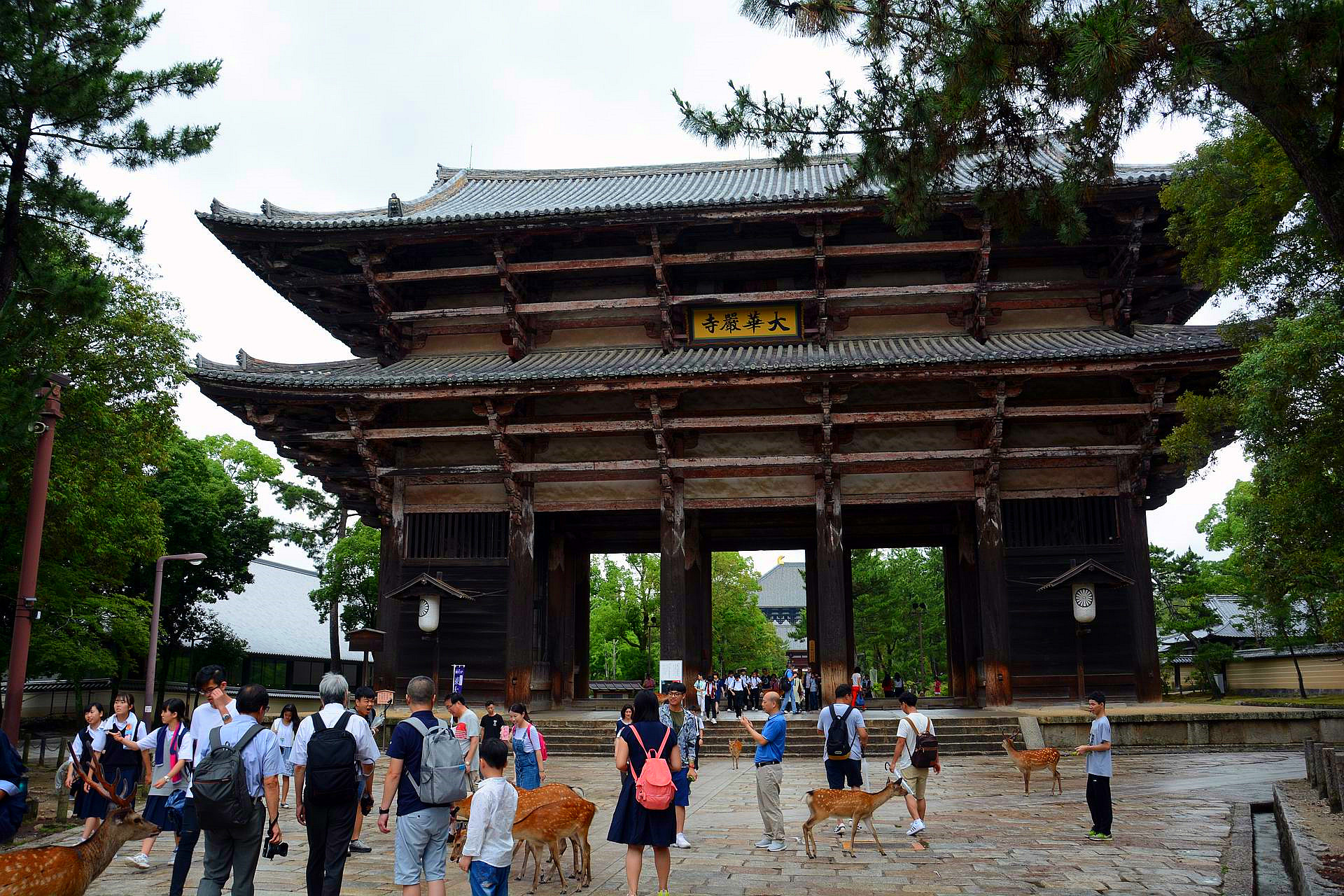 奈良历史博物馆,奈良东大寺古建视频