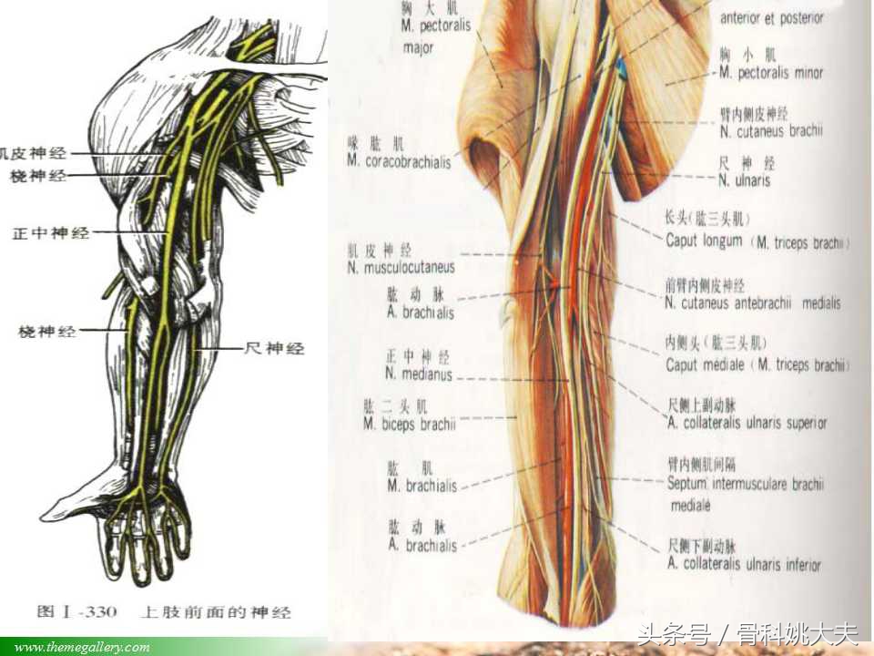 儿童肱骨干骨折处理方法,小孩胳膊肱骨骨折恢复最佳的方法