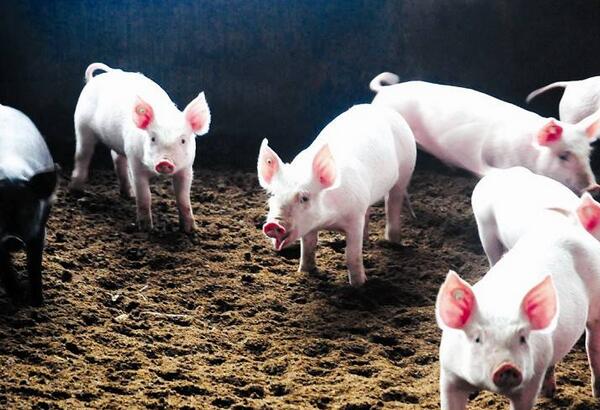 众说纷纭真相不得而知,众说纷纭该信谁