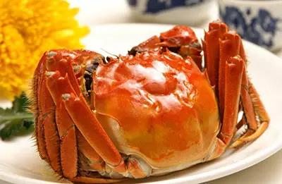 螃蟹都爱吃什么,螃蟹究竟吃的啥