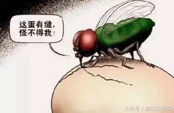 天天收到各种贷款的额度短信,天天收到贷款短信