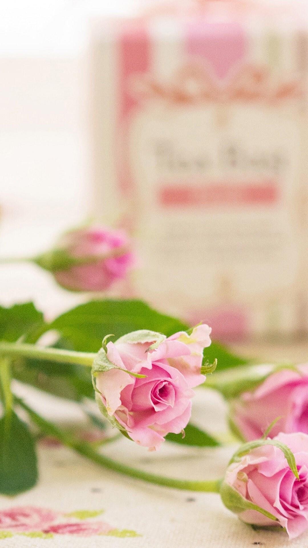 干净舒服的聊天背景图护眼,聊天背景图2022新款全屏高清干净