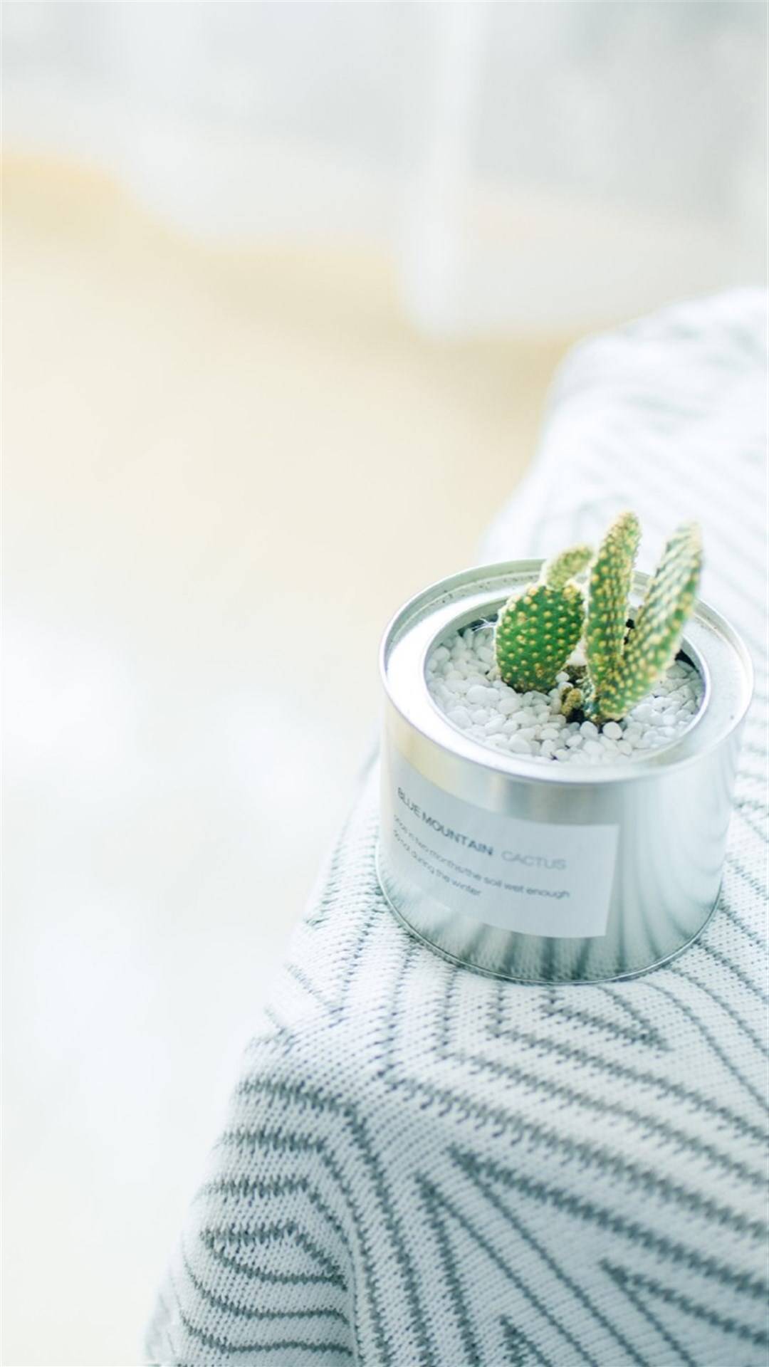 干净舒服的聊天背景图护眼,聊天背景图2022新款全屏高清干净