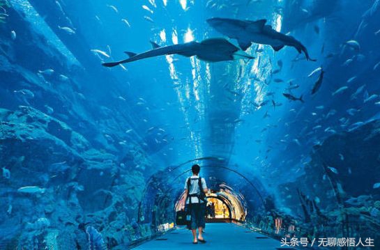 河北省秦皇岛市海港区怎样,河北省秦皇岛市海港区房价