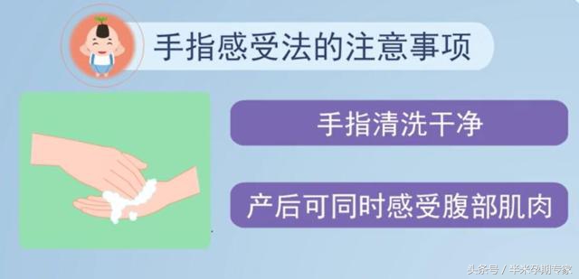 什么是凯格尔运动怎样做,什么是凯格尔运动教学视频