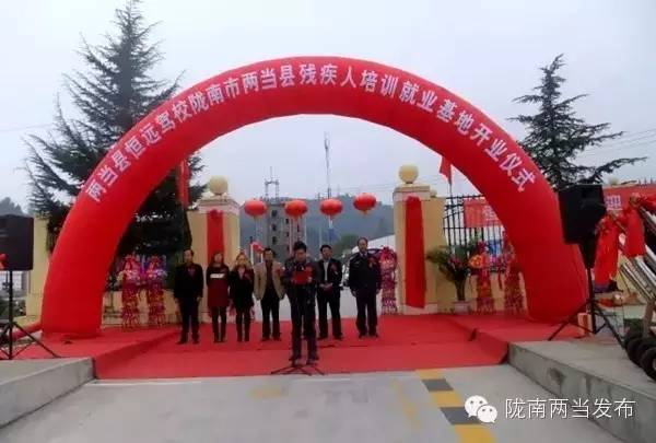 脱贫攻坚武都,脱贫攻坚看陇南