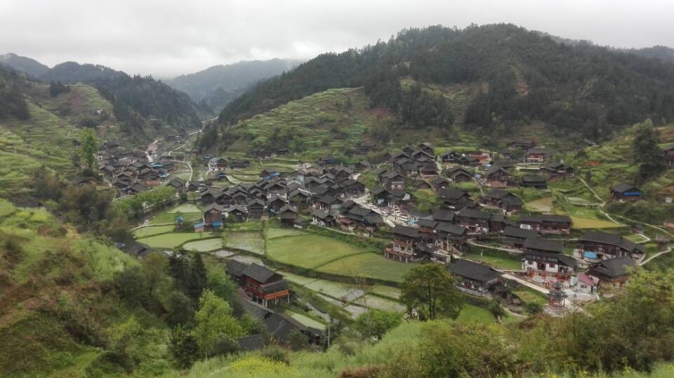 清明节：一只公鸡的思想边界