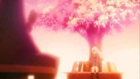 感恩樱花是爱情与希望的象征,樱花飘落的刹那胜过永恒的光辉