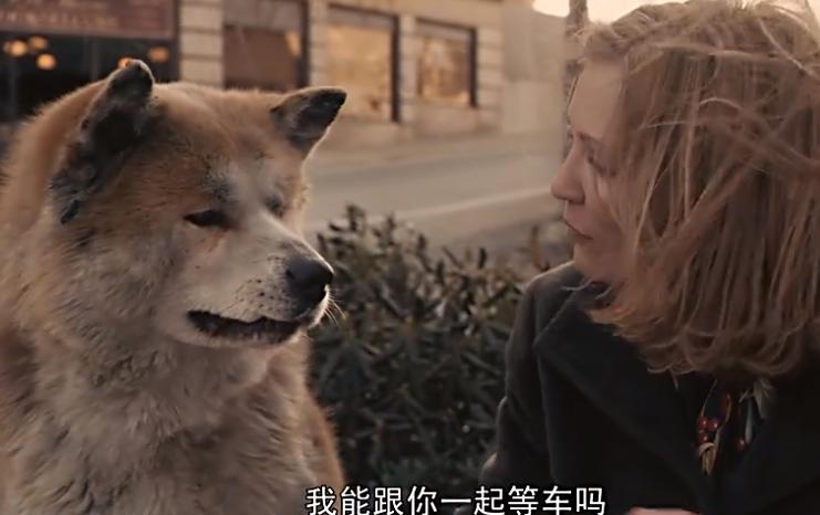 一只狗感动到哭的视频,一只狗看电影看哭了