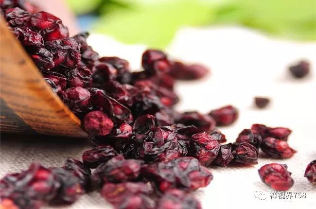 大愿法师养生,大愿法师讲治病视频