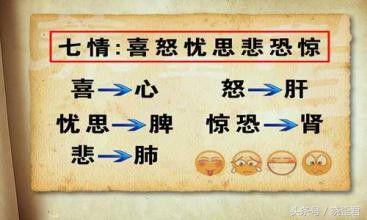 七情过激必伤脏器，七情调和百病不生的养生方法