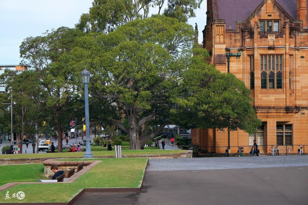 探访澳大利亚新南威尔士大学,探访悉尼大学