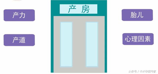 怀孕得甲减怎么办,甲减为什么很难怀孕