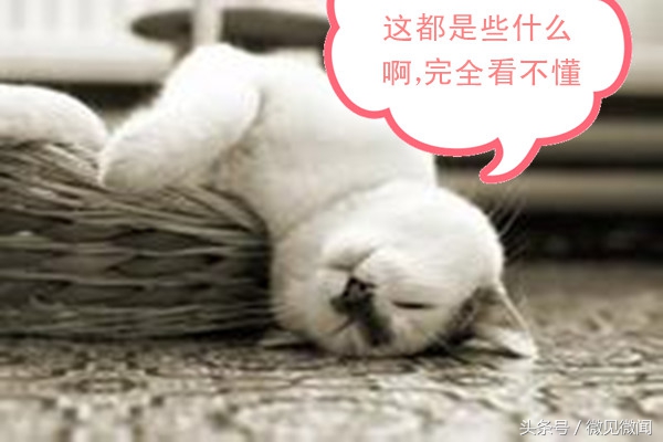 “扑锅”还是“逾锅”引发的关于方言的思考（原创随笔）