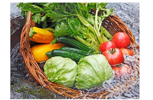 蔬菜打了农药可以清洗干净吗,蔬菜农药残留怎么清洗