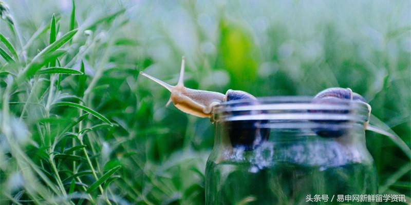 去澳洲读硕士念语言班到底好不好,澳洲语言班骗局