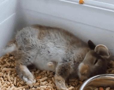 自杀竟然还有坐牢的危险？厉害了，新加坡！