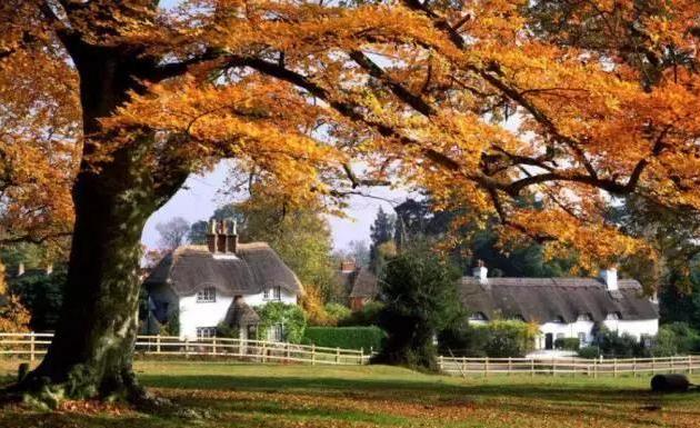 国际留学生移民流程,海桥留学移民