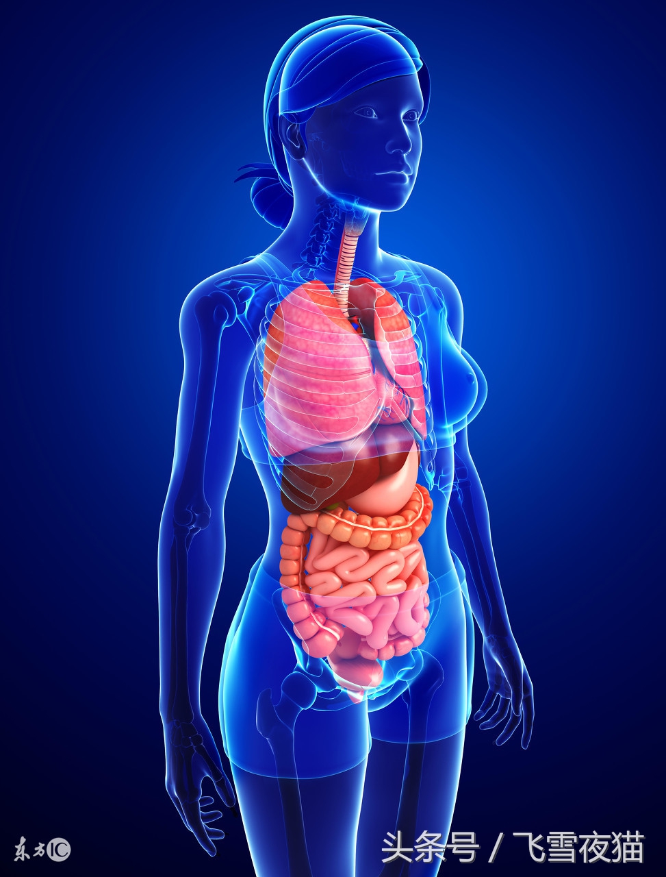 褐青色斑中医解释,中医治疗紫斑的方法