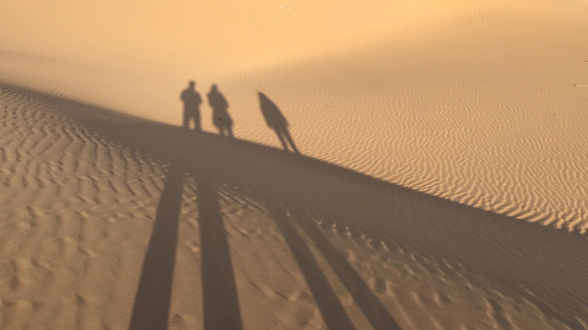 假期突如其来的快乐,一次突如其来的惊喜