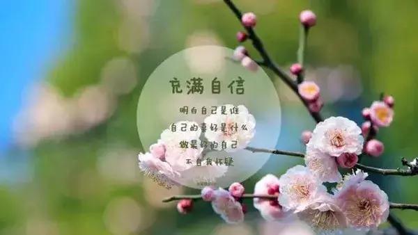 早上好问候语美图早上好的的说说