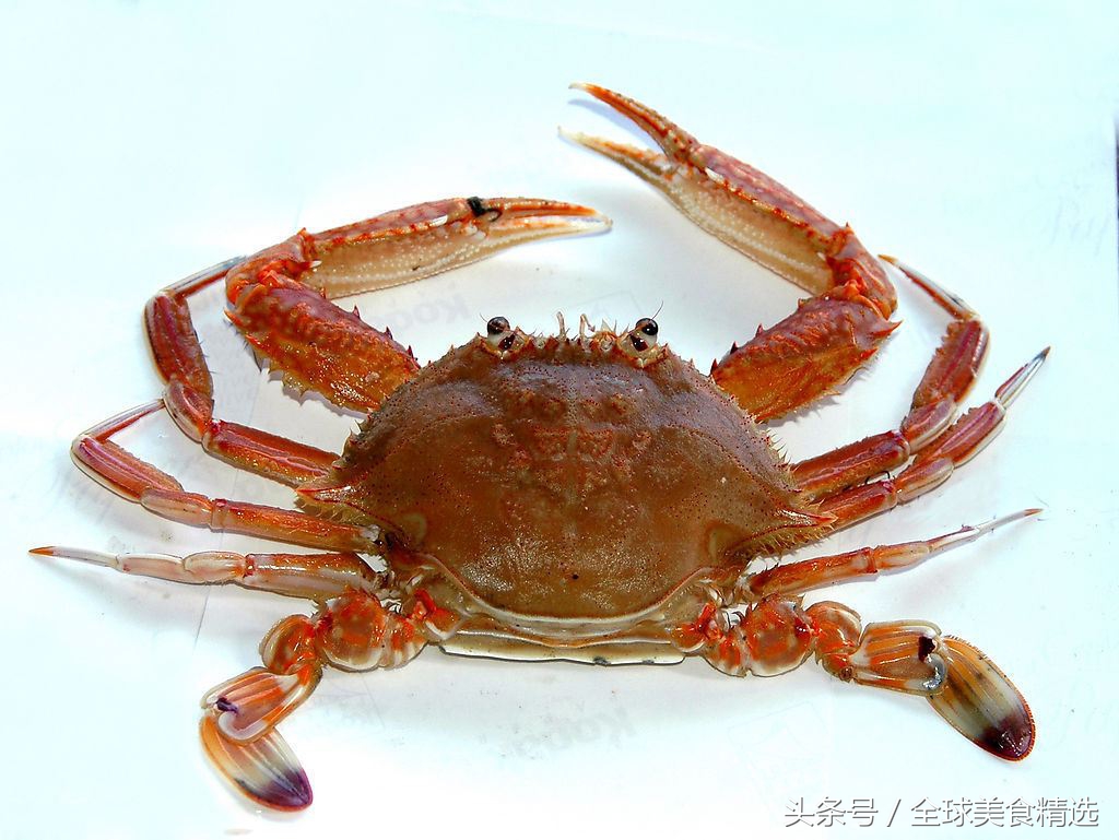 哪些食物相克吃了会危及生命,什么水果一起吃会有生命危险