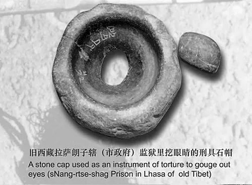 你知道世界上的毒物质有多毒吗,你知道世界上最残忍的事是什么吗