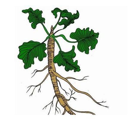 治疗类风湿性关节炎的药物有哪些,治疗类风湿性关节炎的最好的医院