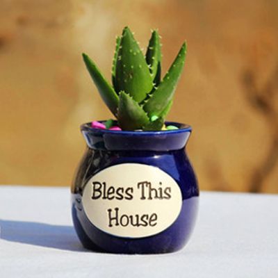 搬新家去甲醇，知道方法可别忽略了到底怎么做