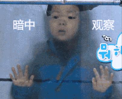 如何分辨奔富是真是假,奔富600怎么辨别真假