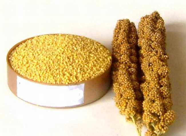 调理脾胃的营养粥,长期调理脾胃的养生粥