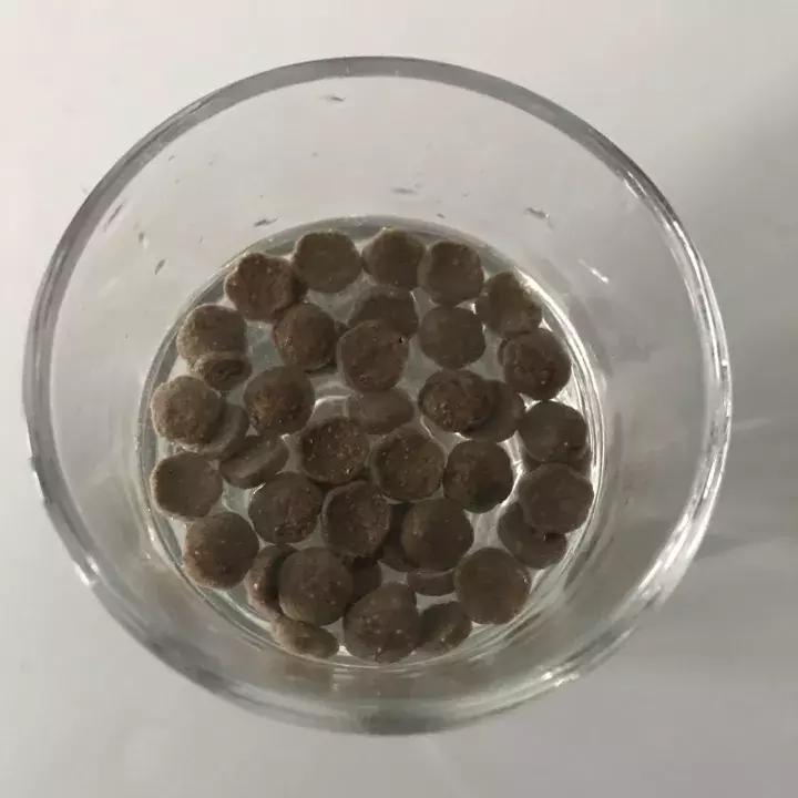 伯纳天纯蓝氏评测,伯纳天纯评测