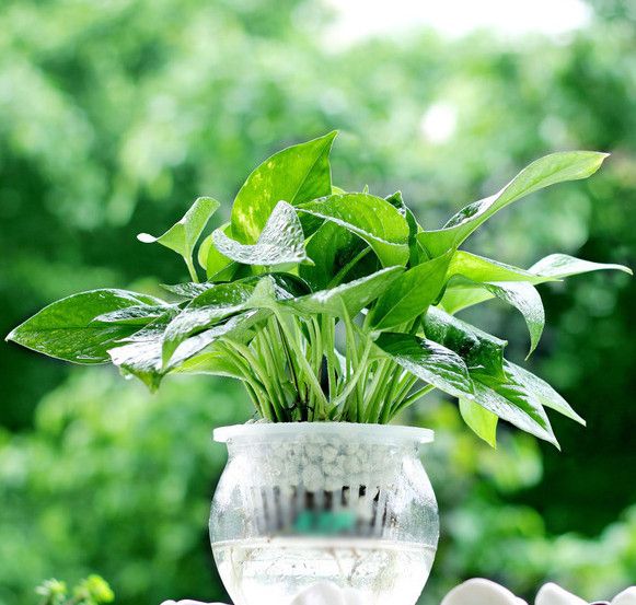 搬新家去甲醇，知道方法可别忽略了到底怎么做