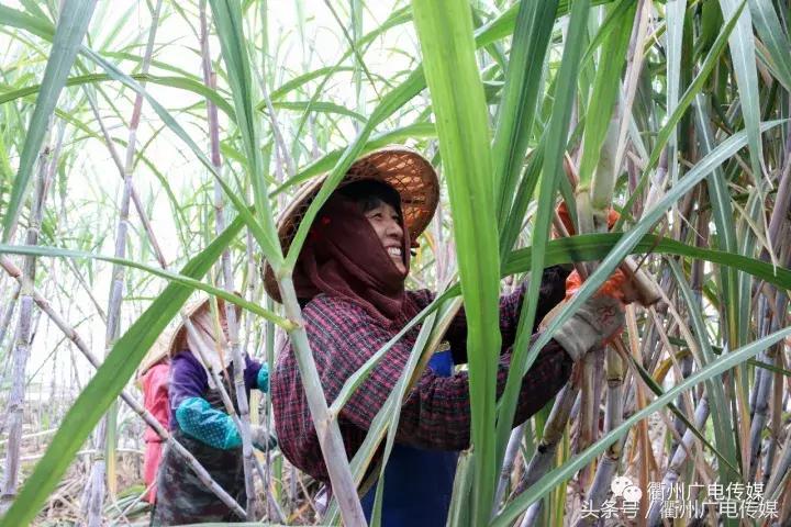 衢州这个地方，连空气都是甜甜的！