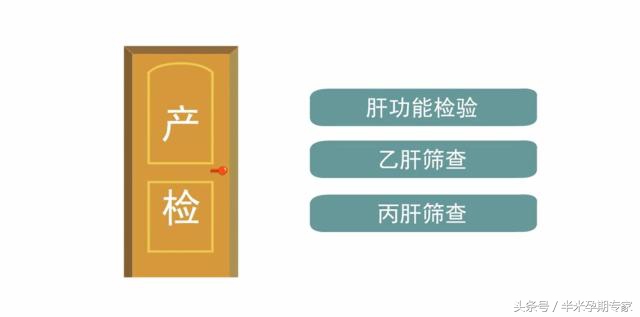 妊娠合并病毒性肝炎综合征,妊娠合并病毒性肝炎