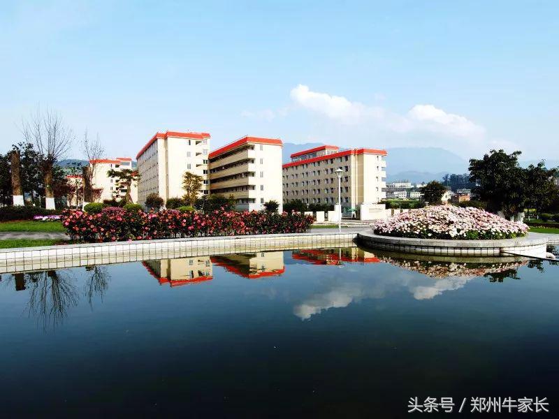 四川农大开设了哪些专业,四川农大好就业吗