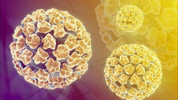 男性有尖锐性湿疣可以打hpv疫苗嘛,男性打宫颈癌疫苗好处