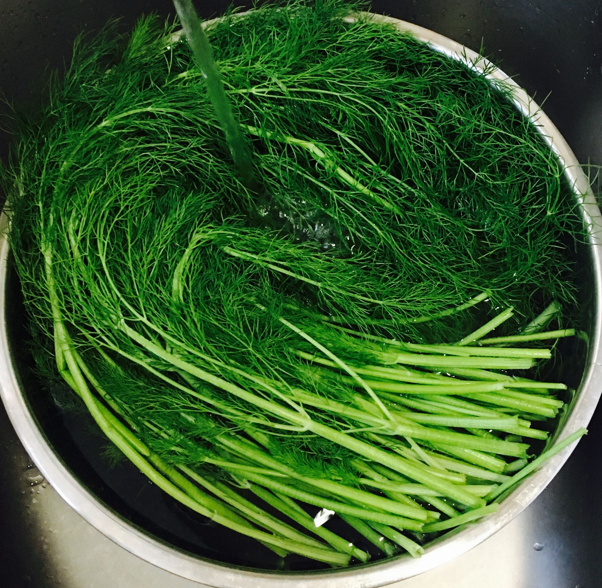 茴香馅的小饺子,小茴香饺子好吃吗