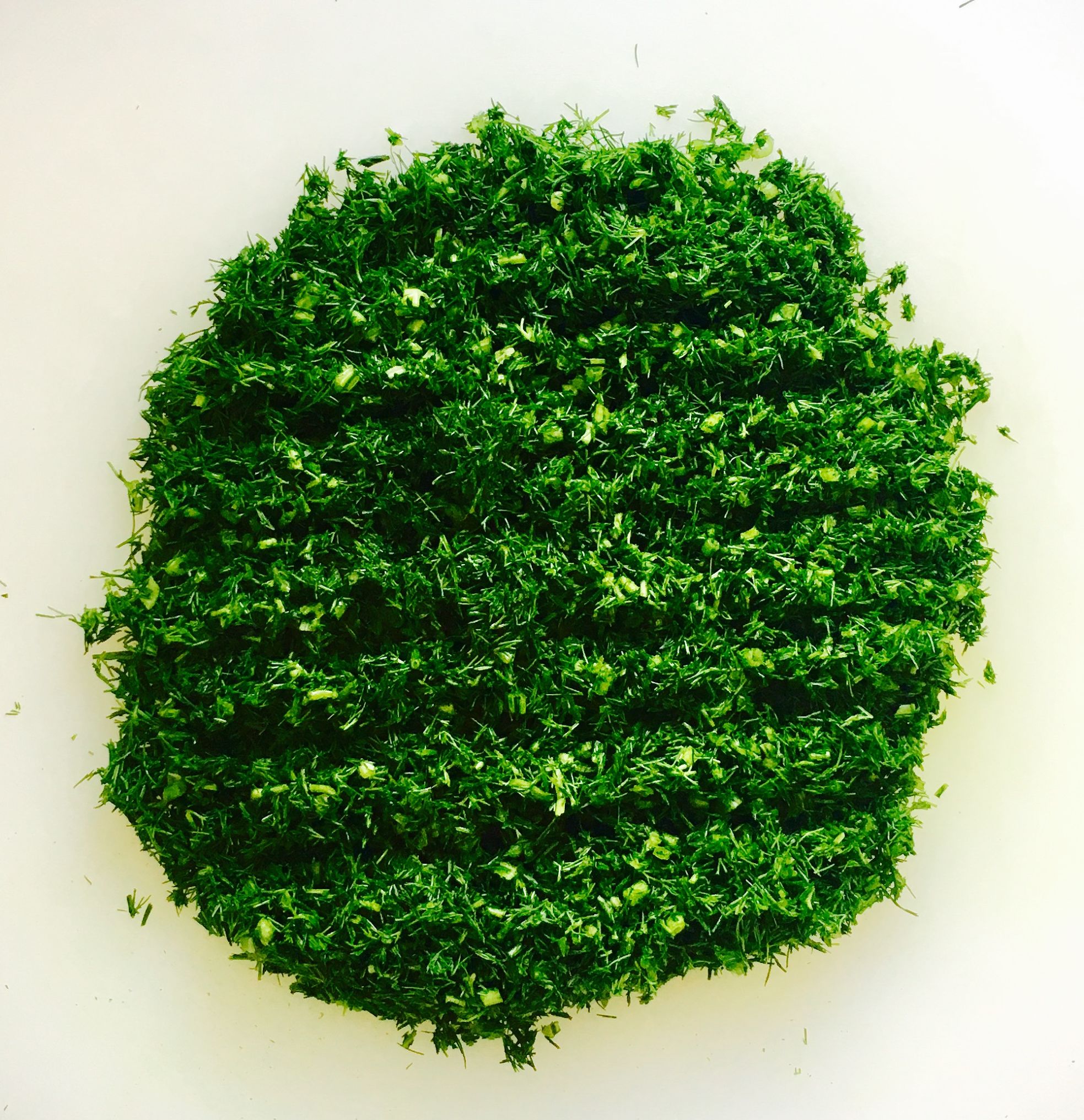 茴香馅的小饺子,小茴香饺子好吃吗