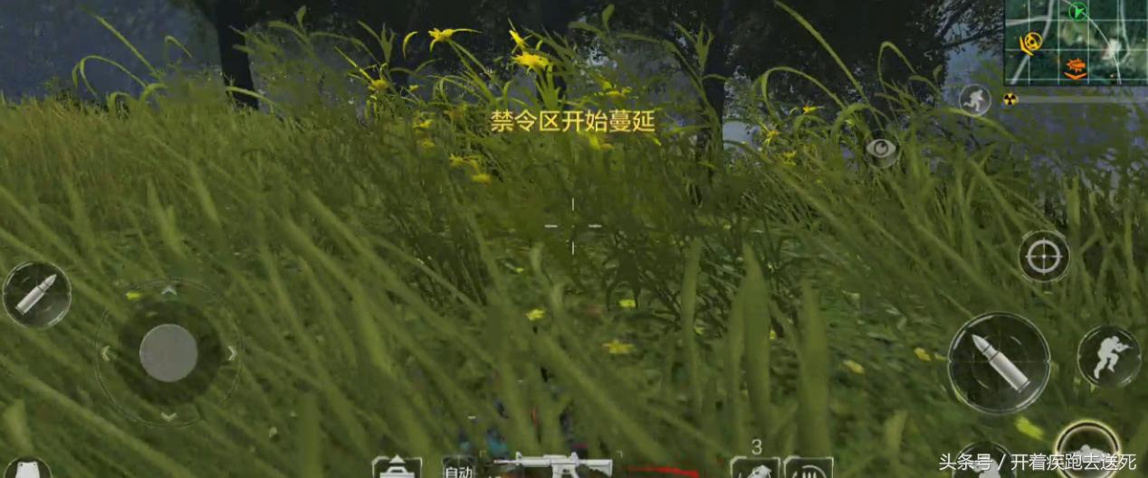 推荐几款能玩的吃鸡手游,几款很好玩的吃鸡手游推荐