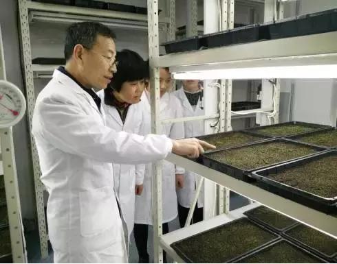 白芨的人工栽培方法论文,舒志明视频