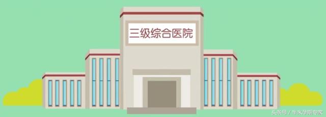 妊娠合并病毒性肝炎综合征,妊娠合并病毒性肝炎