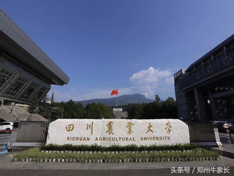 四川农大开设了哪些专业,四川农大好就业吗
