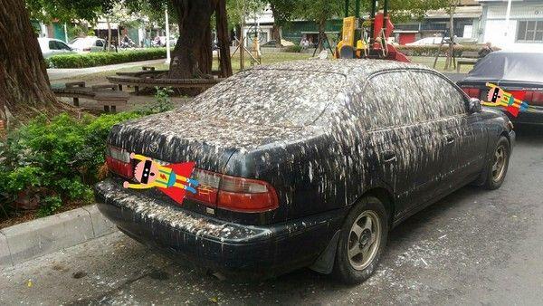 奇葩洗车方式,奇葩洗车100种方法