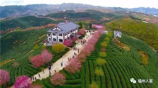 福建省最富10个县市排行榜,福建最好的城市排行榜