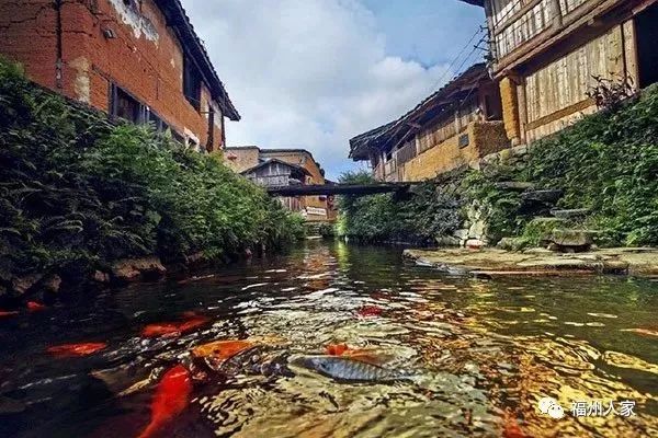 福建省最富10个县市排行榜,福建最好的城市排行榜