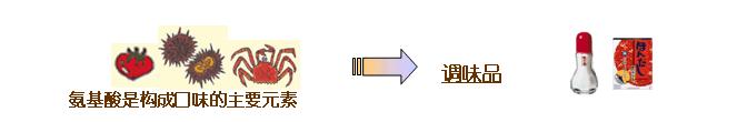 各种氨基酸之间的区别在于什么,氨基酸你知道是什么吗