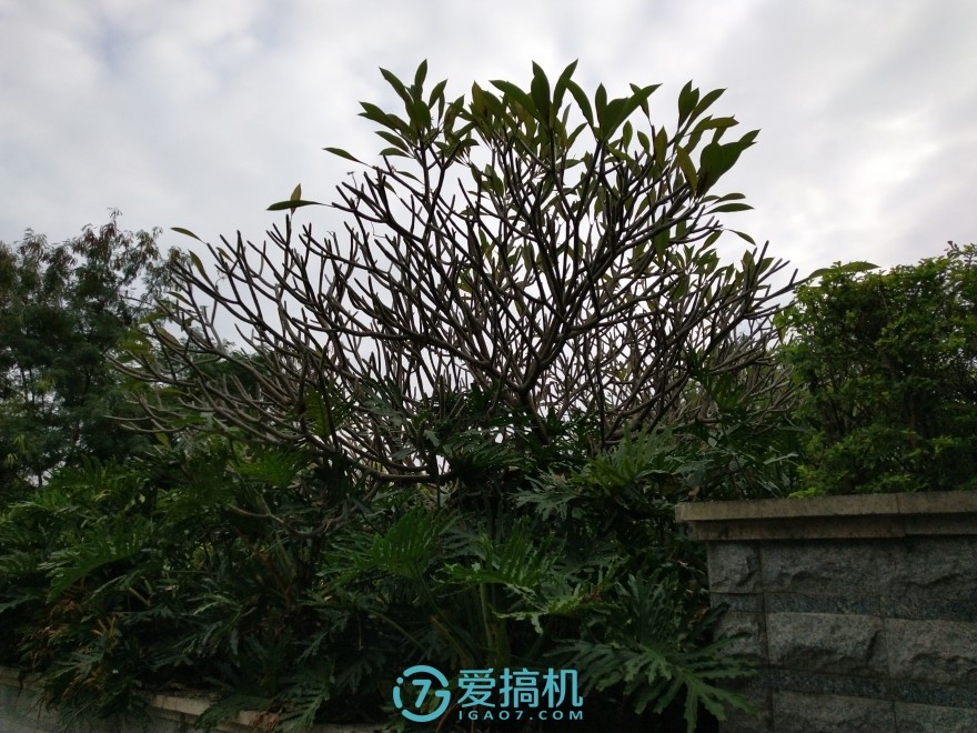 vivox20全面屏,vivox20plus